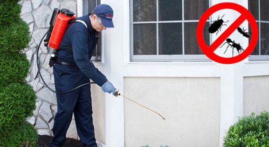 Kayapınar Böcek ve Haşere İlaçlama böcek ilaçlama ve haşere kontrolü — ilaclama-tr.com